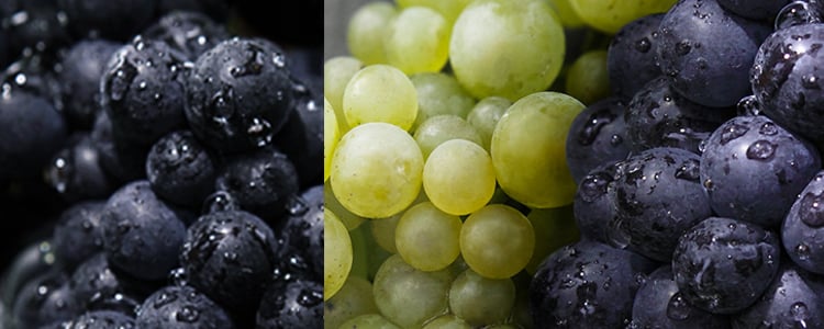 3 grapes varieties - Champmarket