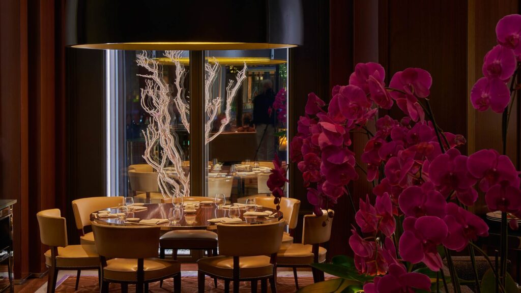 Le jardin secret de Nobu Matsuhisa - Champmarket