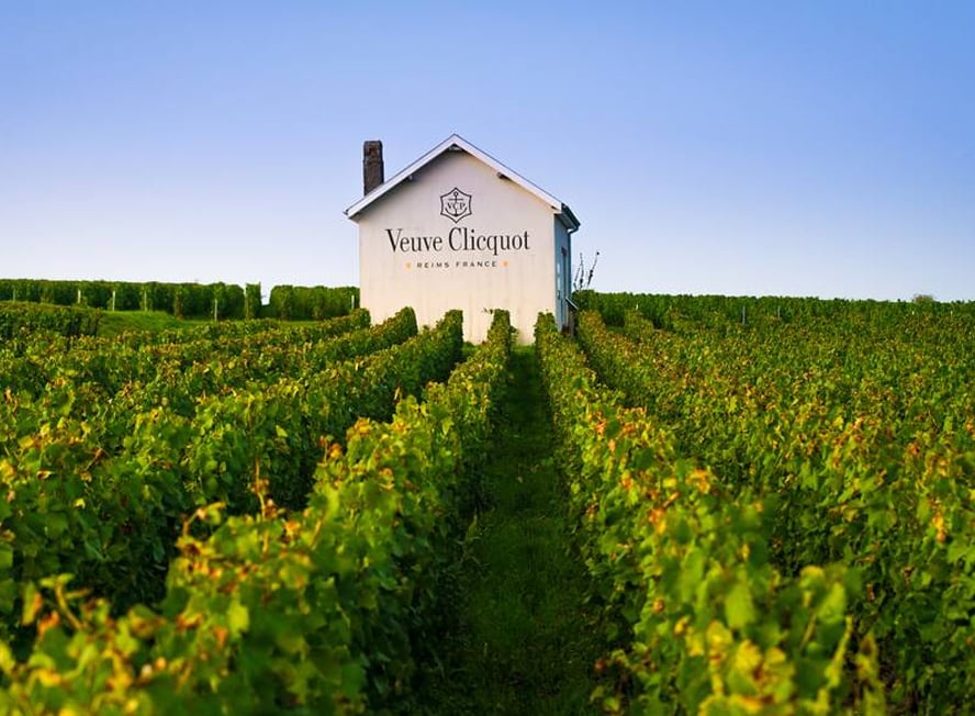 Veuve Clicquot vineyard - Champmarket