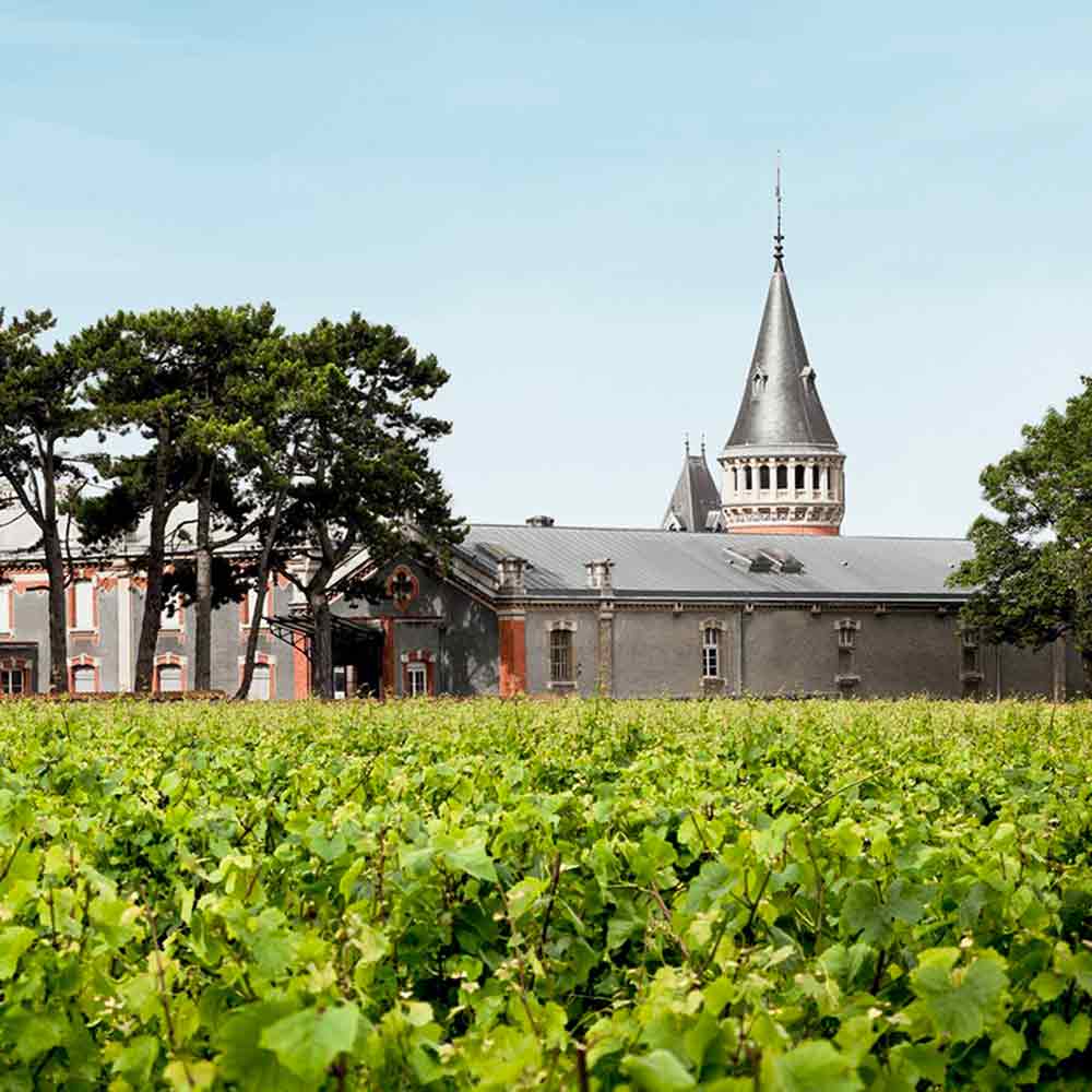 Visuel e-store Pommery Clos Pompadour - Champmarket