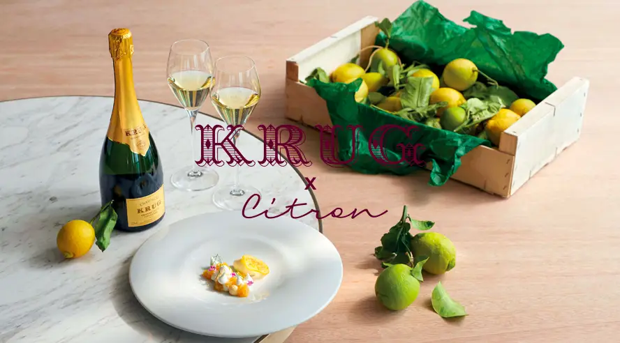 Krug X Citron, Magazine Champagne by Champmarket