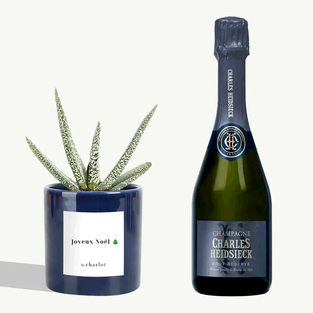 Collab CHAMPMARKET X BY CHARLOT Plante et Champagne