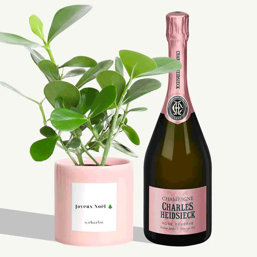 Collab CHAMPMARKET X BY CHARLOT Plante et Champagne