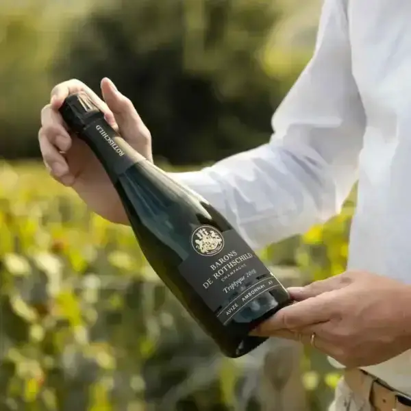 Barons de Rothschild Triptyque 2018 Bottle with case - Champmarket