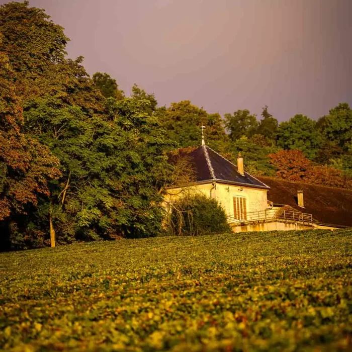 Champagne Saint-Sauveur - Champmarket