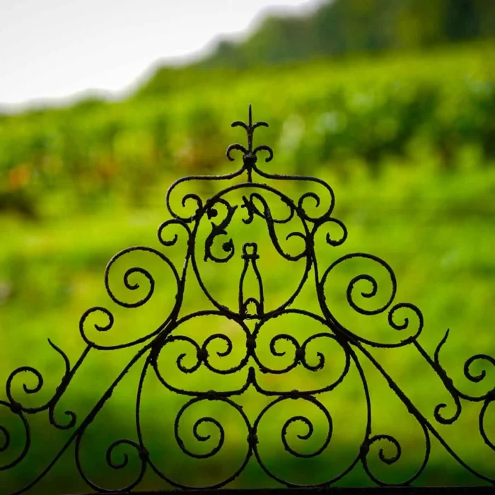 Champagne Saint-Sauveur - Champmarket