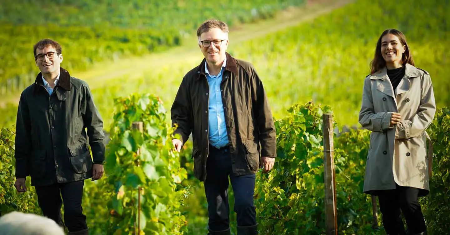 Champagne Saint-Sauveur - Champmarket