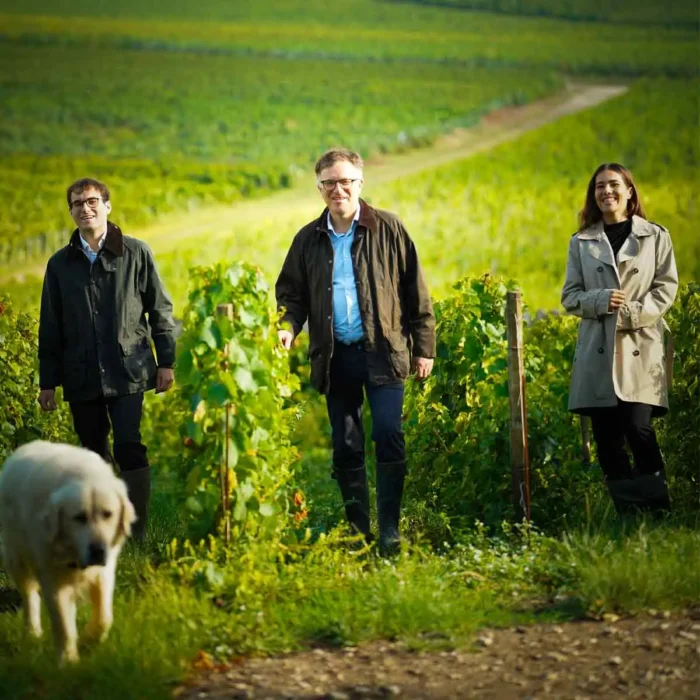 Champagne Saint-Sauveur - Champmarket