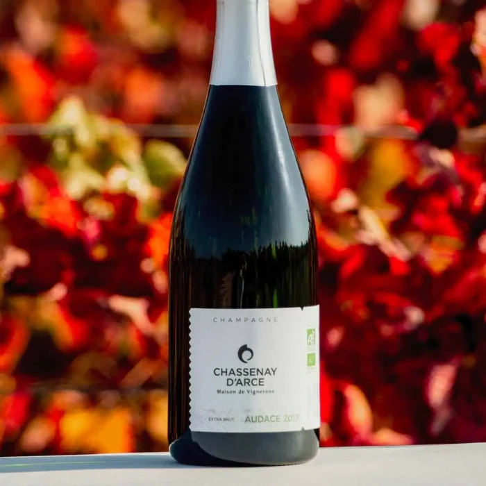 Champagne Chassenay d'Arce Cuvée Audace Millésime 2017 sur Champmarket