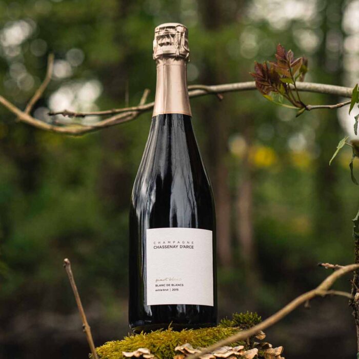 Chassenay d'Arce Pinot Blanc millésime 2015 sur Champmarket